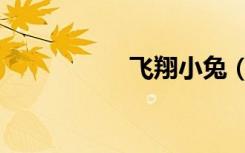 飞翔小兔（飞翔网站）