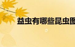 益虫有哪些昆虫图片（益虫有哪些）