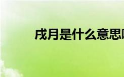 戌月是什么意思啊（戌月是几月）