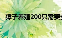 獐子养殖200只需要多少本钱（獐子养殖）