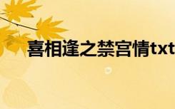喜相逢之禁宫情txt（喜相逢之替身情）