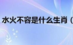 水火不容是什么生肖（水火不容是什么生肖）