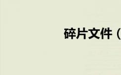 碎片文件（碎片文件）