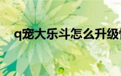 q宠大乐斗怎么升级快（q宠大乐斗历练）