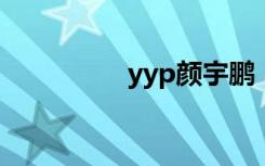 yyp颜宇鹏（yy黑马甲）