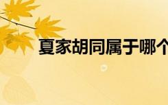 夏家胡同属于哪个街道（夏家胡同）