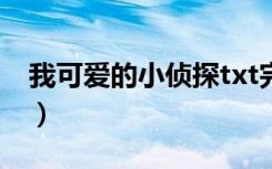 我可爱的小侦探txt完整版（我可爱的小侦探）