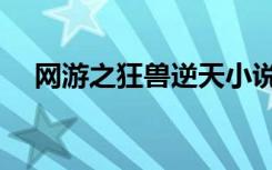 网游之狂兽逆天小说（网游之狂兽逆天）