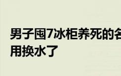 男子囤7冰柜养死的名贵鱼价值百万 网友：不用换水了