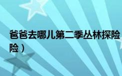 爸爸去哪儿第二季丛林探险（爸爸去哪儿大电影之丛林大冒险）