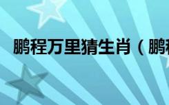 鹏程万里猜生肖（鹏程万里打一准确生肖）