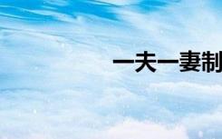 一夫一妻制的幸福生活