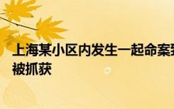 上海某小区内发生一起命案致3死1伤，警方：犯罪嫌疑人已被抓获