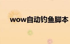 wow自动钓鱼脚本（wow自动喊话宏）