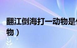 翻江倒海打一动物是什么（翻江倒海打一个动物）