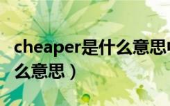 cheaper是什么意思中文翻译（cheaper是什么意思）