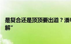 是复合还是顶顶要出道？潘粤明董洁11年后迎来“世纪大和解”