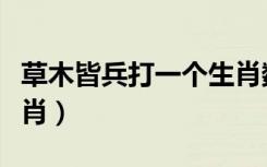 草木皆兵打一个生肖数字（草木皆兵打一个生肖）