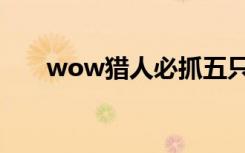 wow猎人必抓五只宠物（wow星雅）