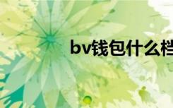 bv钱包什么档次（bv钱包）