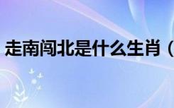 走南闯北是什么生肖（走南闯北是什么生肖）