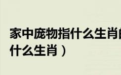 家中庞物指什么生肖的正确答案（家中庞物指什么生肖）
