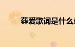 葬爱歌词是什么意思（葬爱歌词）