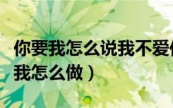 你要我怎么说我不爱你吉他谱（你要我怎么说我怎么做）