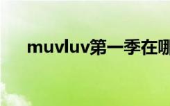 muvluv第一季在哪免费看（muvluv）
