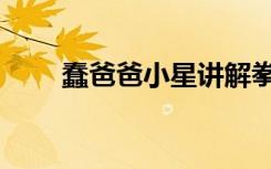 蠢爸爸小星讲解拳皇（蠢爸爸小星）