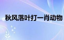秋风落叶打一肖动物（秋风落叶打一生肖）