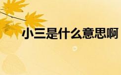 小三是什么意思啊（小三是什么意思）