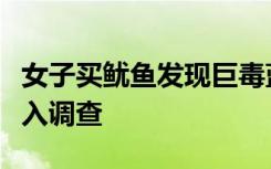 女子买鱿鱼发现巨毒蓝环章鱼？当地市监局介入调查