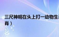 三尺神明在头上打一动物生肖（三尺神明在头上打一动物生肖）