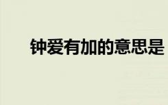 钟爱有加的意思是（钟爱有加的意思）