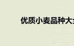 优质小麦品种大全（优质小盘股）