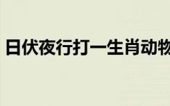 日伏夜行打一生肖动物（日伏夜行打一生肖）