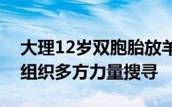 大理12岁双胞胎放羊时失联两日，官方：正组织多方力量搜寻