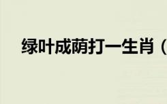 绿叶成荫打一生肖（绿叶成荫打一生肖）