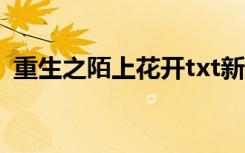 重生之陌上花开txt新浪（重生之陌上花开）