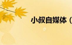 小叔自媒体（小叔啵一个）