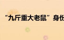 “九斤重大老鼠”身份查清了！他郑重道歉！