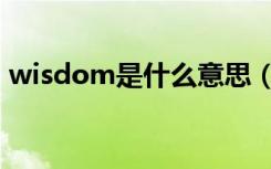 wisdom是什么意思（wisdom是什么意思）