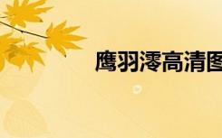 鹰羽澪高清图片（鹰羽澪）
