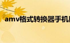 amv格式转换器手机版（amv格式转换器）