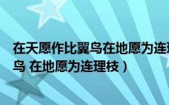 在天愿作比翼鸟在地愿为连理枝是什么意思（在天愿作比翼鸟 在地愿为连理枝）