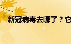 新冠病毒去哪了？它会消失吗？专家回应