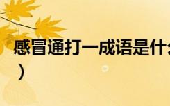 感冒通打一成语是什么成语（感冒通打一成语）