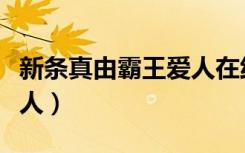 新条真由霸王爱人在线观看（新条真由霸王爱人）