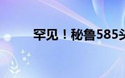 罕见！秘鲁585头海狮死于禽流感
